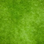 Qué es la grama y en qué se diferencia del césped